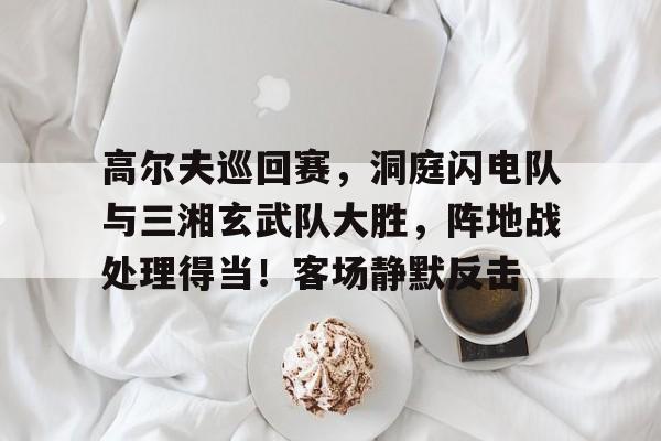 在线体育-包含高尔夫巡回赛，洞庭闪电队与三湘玄武队大胜，阵地战处理得当！客场静默反击的词条